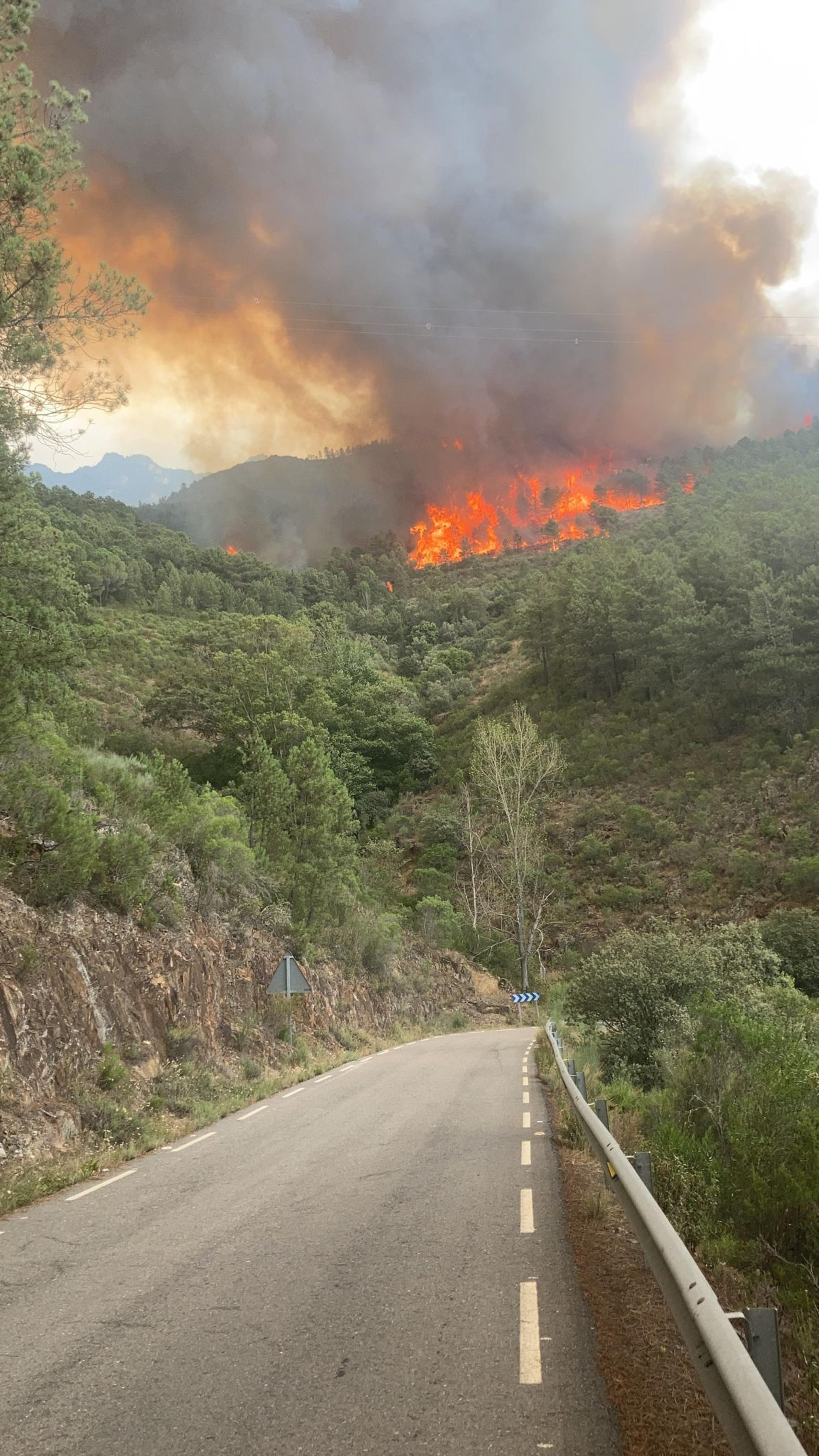 Incendio Hurdes foto carretera